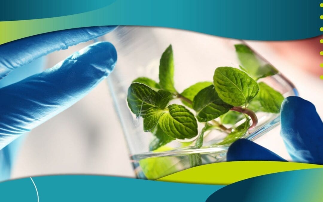 Sinuate Media Announces Acquisition of Approach Positive Marketing