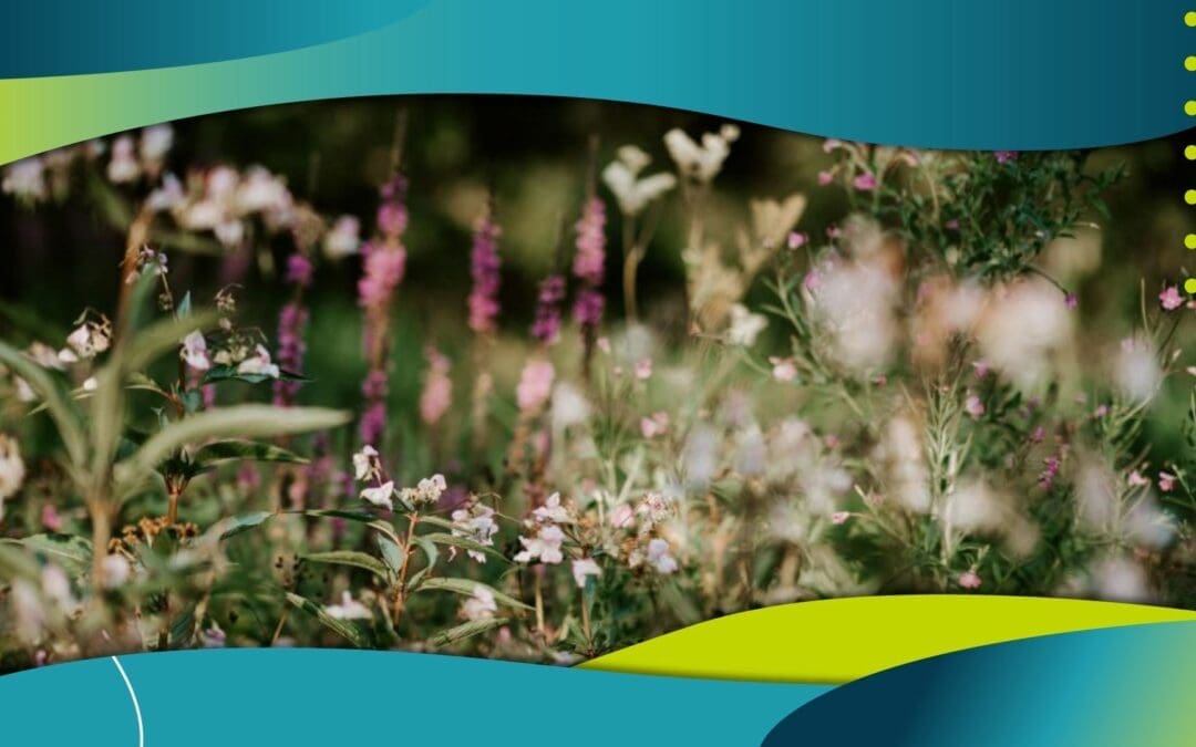 New Website Launch-Urbanna Landscaping