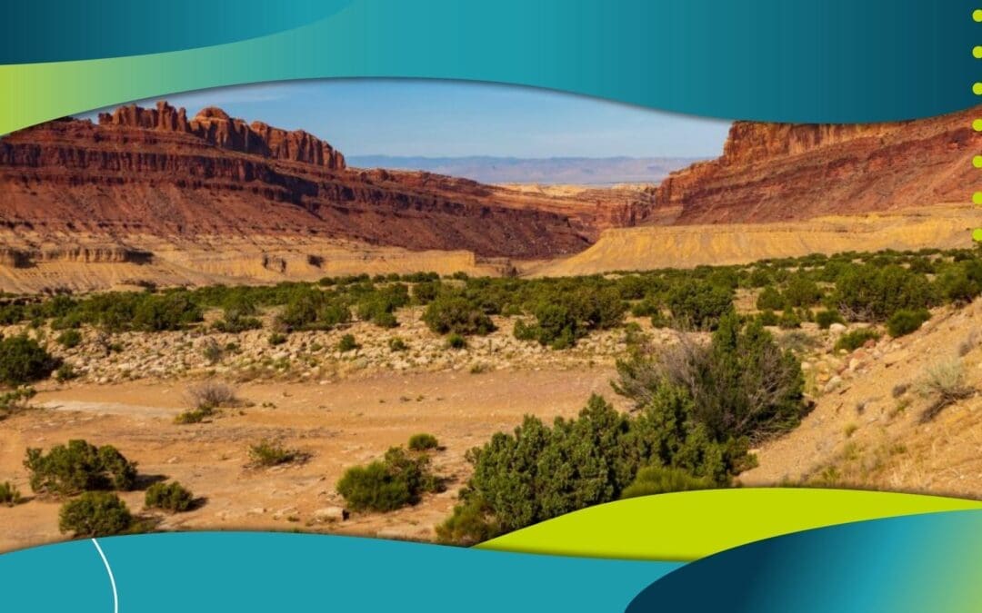 Client Spotlight – Local Las Cruces Author George Pintar