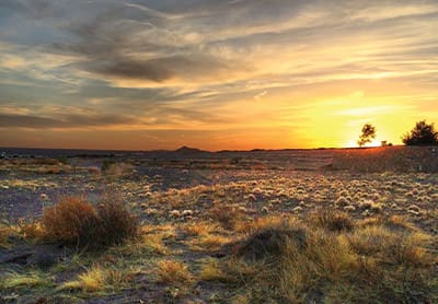 Sinuate Media Moves to New Mexico Sinuate Media Moves to New Mexico